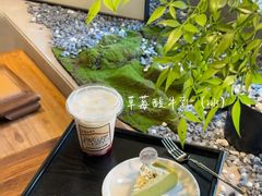 -星多哈·狗咖·拼豆·咖啡