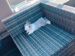 -UNI UNI(环亚凯瑟琳店)