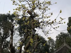 -成都杜甫草堂博物馆