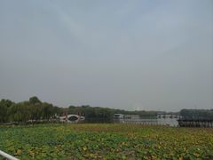 -石家庄市植物园