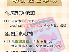 -lincat·猫舍(广州店)
