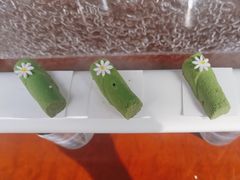 -棕榈岛海鲜自助餐厅(虹桥迎宾馆店)