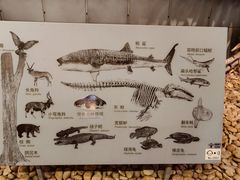 -浙江自然博物院(杭州馆)