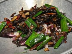 肥肠鹿茸菌-新渝城·始于2000年(淘金店)