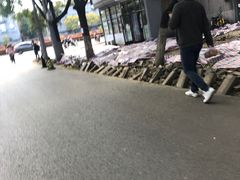-中关村茶点