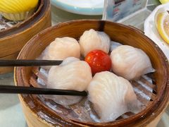 益健虾饺皇-益健美食大广场(北岭店)