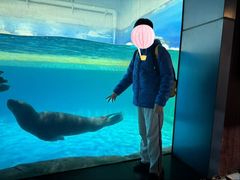 -蓬莱欧乐堡海洋极地世界