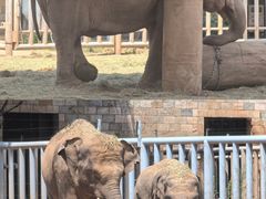 -石家庄市动物园