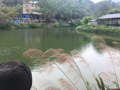 -紫云谷景区