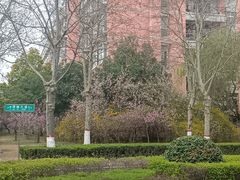 -自黑豆夫·臭豆腐夹馍(四海唐人街店)