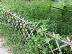 -北京西山国家森林公园