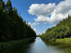 -黄海国家森林公园