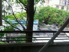 -上海交通大学医学院附属瑞金医院(总院)