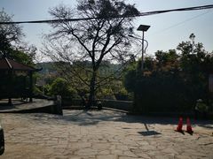-贵阳市花溪国家城市湿地公园