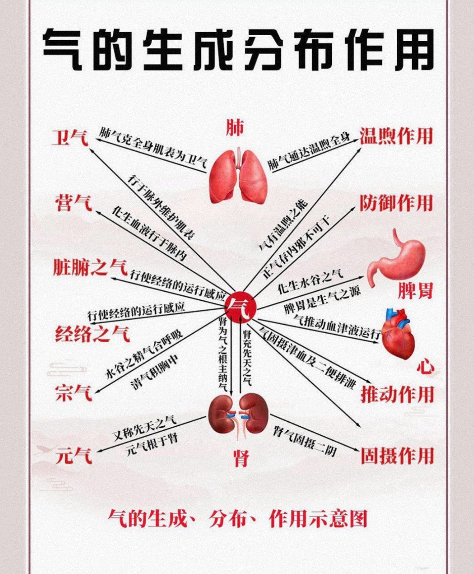中医理论中的气是构成人体和维持人体生命活