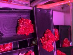 -牛吉韵·鲜切牛肉自助火锅(南山店)