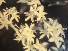 -星巴克(无锡东方商厦店)