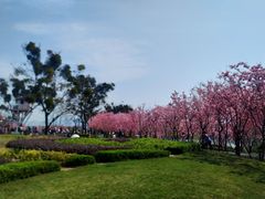 -福建鲤鱼洲酒店