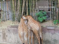 -长鹿旅游休博园
