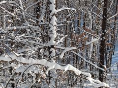 -哈尔滨北方森林动物园