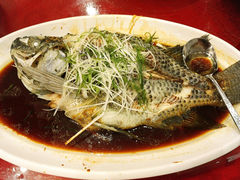 清蒸罗非鱼-春满人间酒楼(园岭中路店)