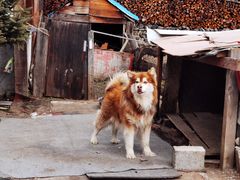 -鲁朗纳麦石锅鸡庄园
