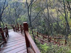 -大岭沟猕猴桃谷风景区