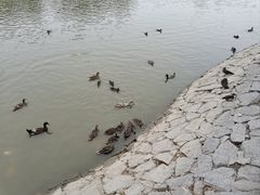 -中国农业博物馆