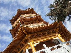 -塔云山