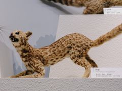 -舟山博物馆