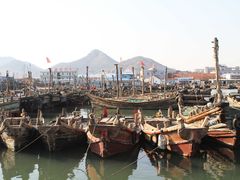 -青岛沙子口国家中心渔港