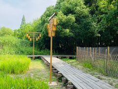 -长田漾湿地公园