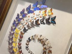 -广州白天鹅宾馆