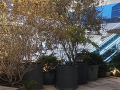 -SHAN山(前滩太古里店)