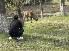 -苏州太湖国家湿地公园