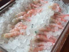 -月龍吟(朝龙汇店)