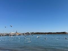 -日照灯塔风景区