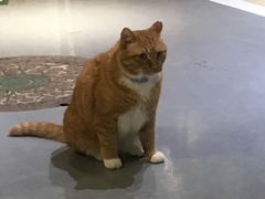 -小时光咖啡馆(开森度假森林店)