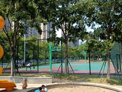 -光明港公园