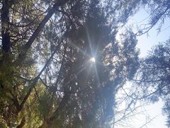 -泰山风景名胜区-普照寺