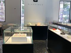 -BLACKSWAN黑天鹅(环球店)