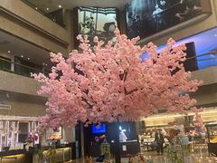 -上海银星皇冠假日酒店