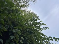 -天河潭旅游度假区