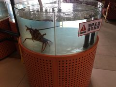 -万龙洲海鲜(大兴绿地缤纷城店)