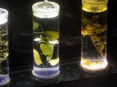 -广东中医药博物馆