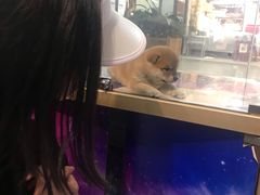 -乐宠宠物店(世纪金源店)