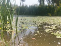 -东郊湿地公园