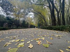 -森林公园(尖草坪区)