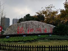 -南翔镇银翔湖公园