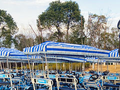 -瑶湖郊野森林公园